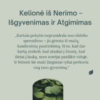 kelionė iš nerimo išgyvenimas ir atgimimas